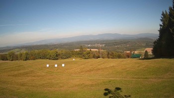 Zvičina