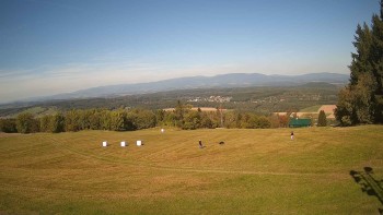 Zvičina