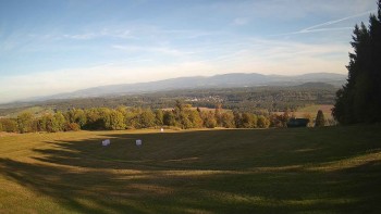 Zvičina