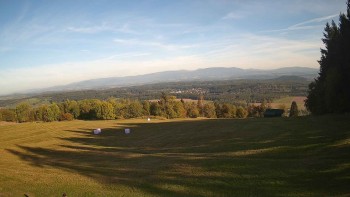 Zvičina