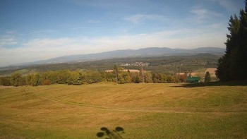 Zvičina