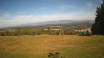 Zvičina