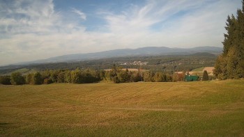 Zvičina