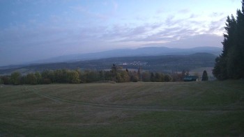 Zvičina
