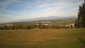 Zvičina