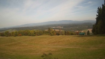 Zvičina