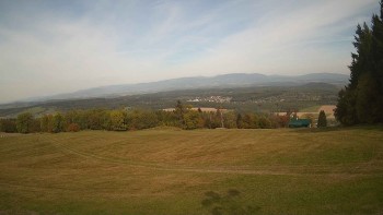 Zvičina