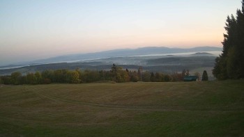 Zvičina