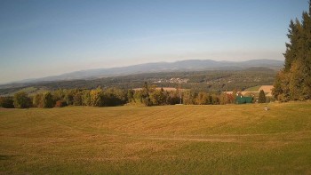 Zvičina