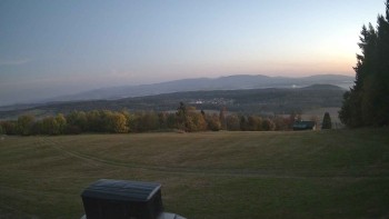 Zvičina