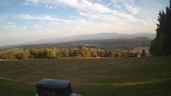 Zvičina