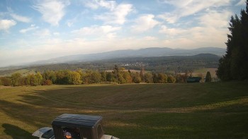 Zvičina