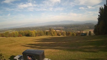 Zvičina