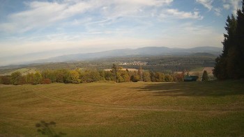 Zvičina
