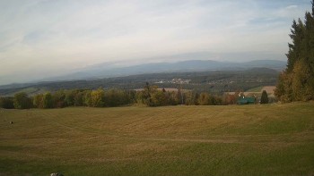 Zvičina