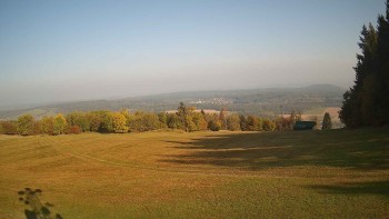 Zvičina