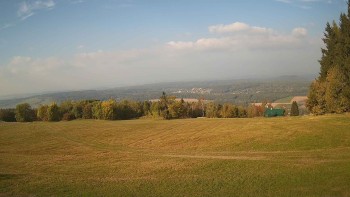 Zvičina