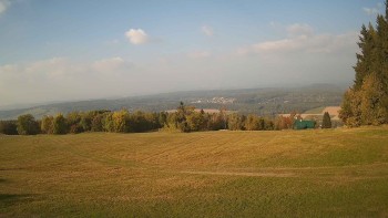 Zvičina