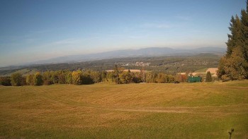 Zvičina