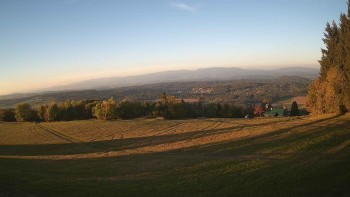 Zvičina