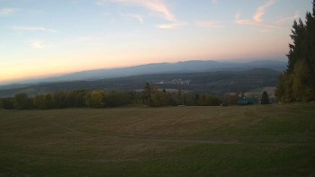 Zvičina