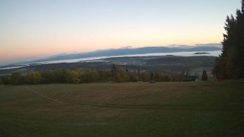Zvičina