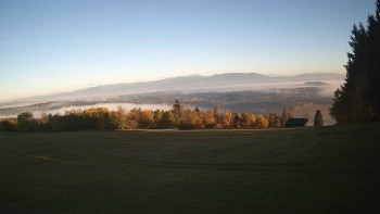 Zvičina