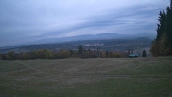 Zvičina