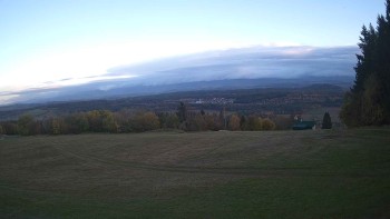 Zvičina