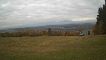 Zvičina