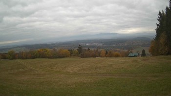 Zvičina