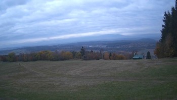 Zvičina