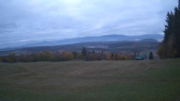 Zvičina