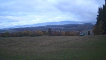 Zvičina