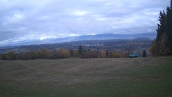 Zvičina