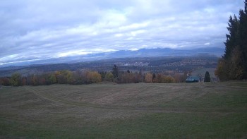 Zvičina