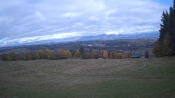 Zvičina
