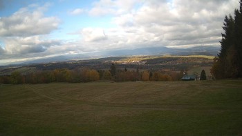 Zvičina