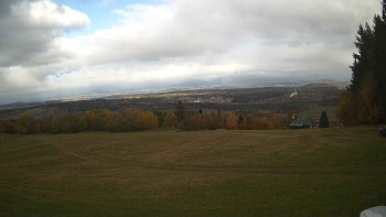 Zvičina
