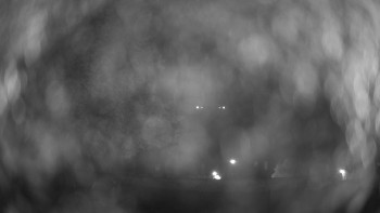 Hospitál Kuks