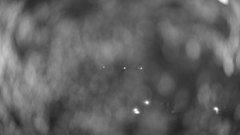 Hospitál Kuks
