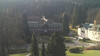 Snímek 7.11.2025 v 09:30