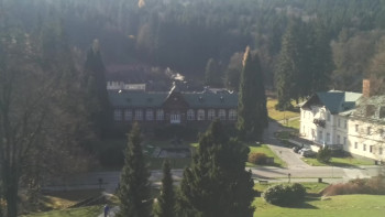 Snímek 7.11.2025 v 10:00