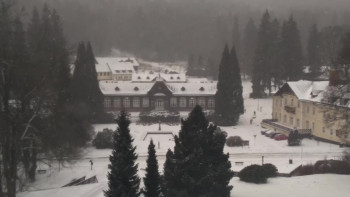 Snímek    24.11.2025 v 10:00