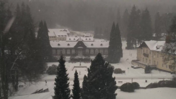 Snímek    24.11.2025 v 11:15