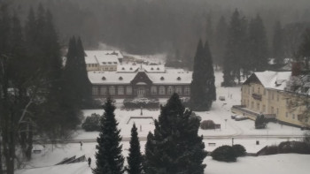 Snímek    24.11.2025 v 11:30