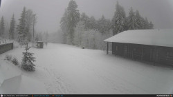 Běžecká trať, střelnice