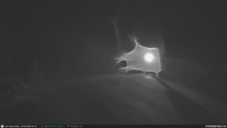 Běžecká trať, střelnice