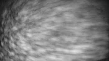 Snímek    13.9.2025 v 05:00
