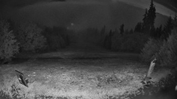 Snímek    13.9.2025 v 05:30